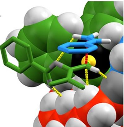 Active Site Environment