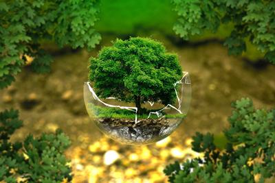 Earth Day