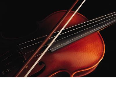 Image of a viola