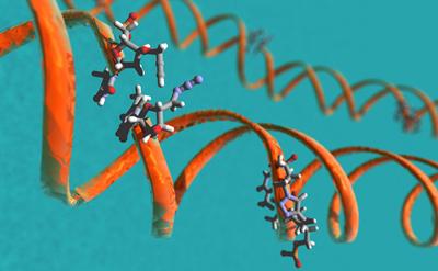 Artist's impression of DNA