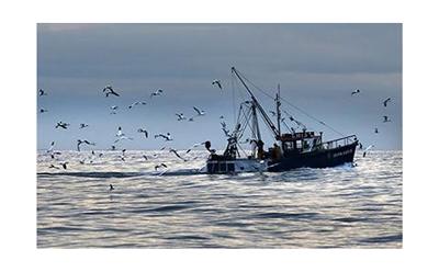 Marine Fisheries ship