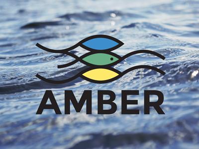 AMBER