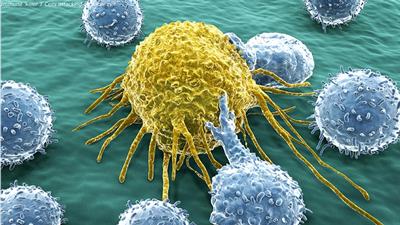 New cancer funding