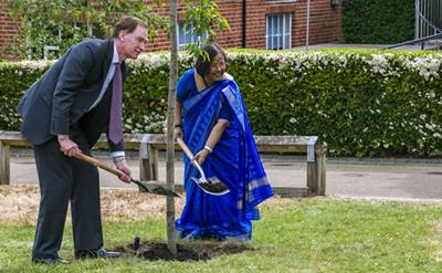 Planting the tree
