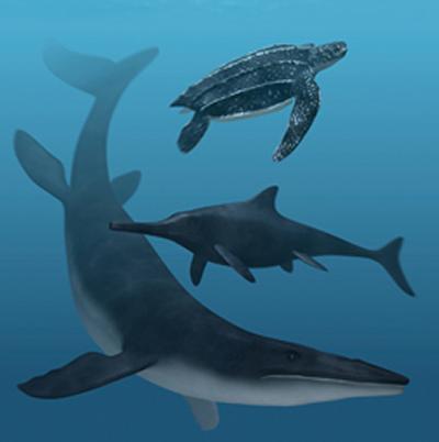 Illustration by Stefan Sølberg