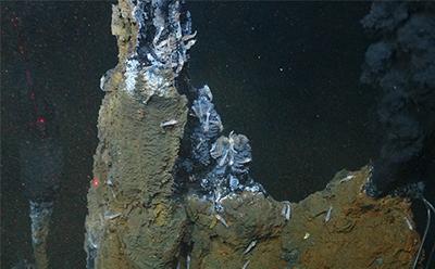deep ocean riddles