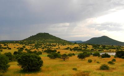 African savanna