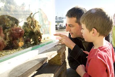 Ocean and Earth day 2014