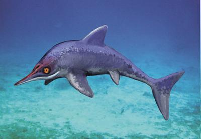 Malawania Ichthyosaur