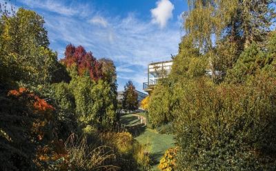Highfield campus in autumn