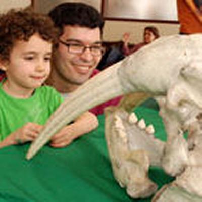 Discovery day