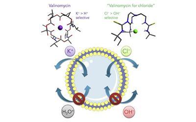 Two anionophores