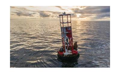 Bouy
