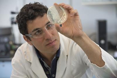 Image of Professor Ali Tavassoli