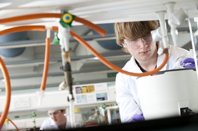 Organic Chemistry Summer School 
