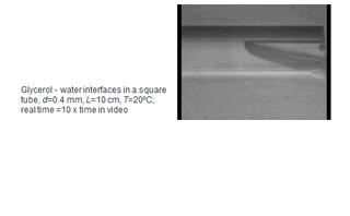 Dynamics of miscible interfaces