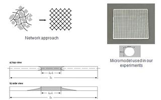 Dynamics of miscible interfaces