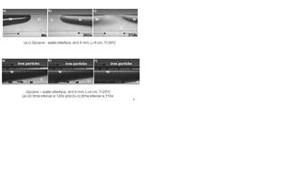 Dynamics of miscible interfaces