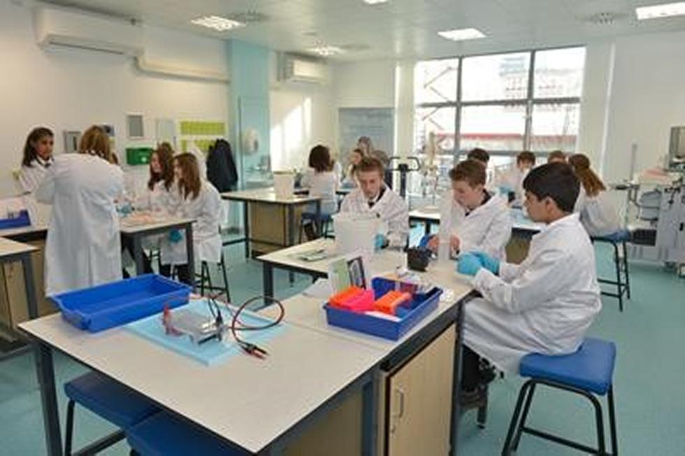 LifeLab Pupils 