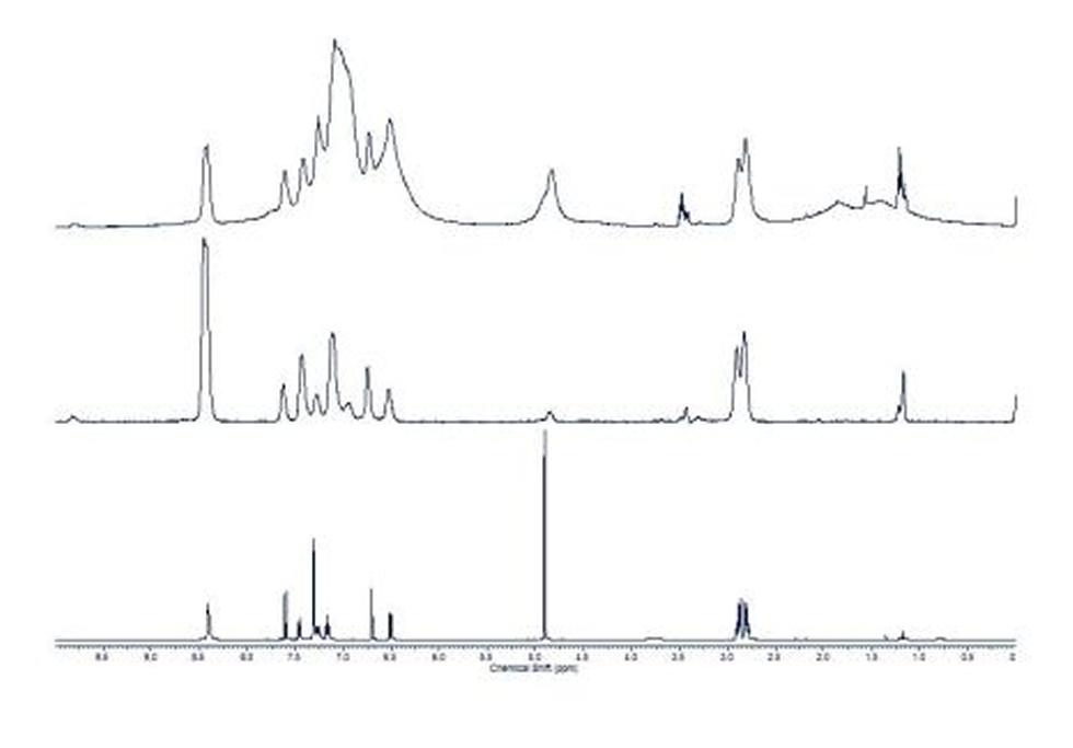 1D Proton NMR Spectra. Top: Unmodified pulse sequence; Middle: CPMG pulse sequence; Lower: solution proton spectrum (N. J. Wells, PhD Thesis, University of Southampton, 2002)