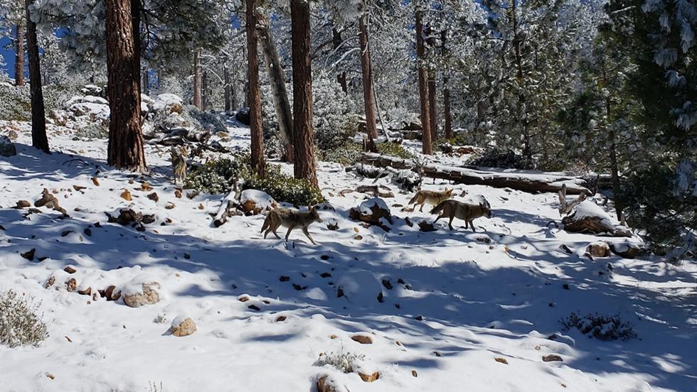 Slideshow image