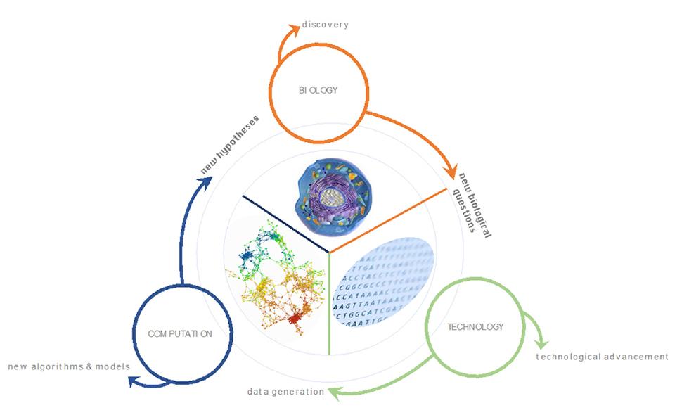 Cellular Systems Biology