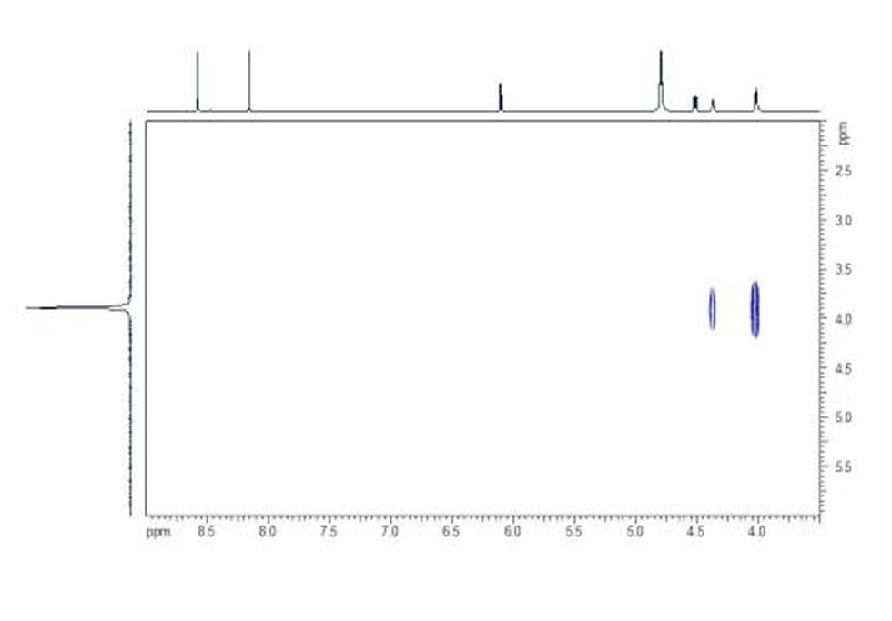 HP HMBC. In the HP HMBC spectrum the two- and three- bond couplings between 1H and 31P nuclei can be seen as cross-peaks.