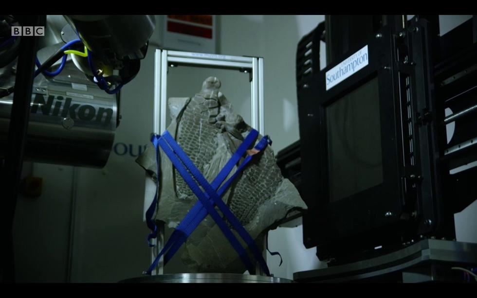 µ-VIS X-Ray Imaging Centre on 'Attenborough and the Sea Dragon'