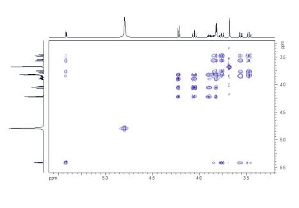TOCSY. The HH TOCSY spectrum shows correlations that belong together in contiguous spin systems: in the sucrose example, this means that the protons in the respective glucose and fructose units can be assigned.