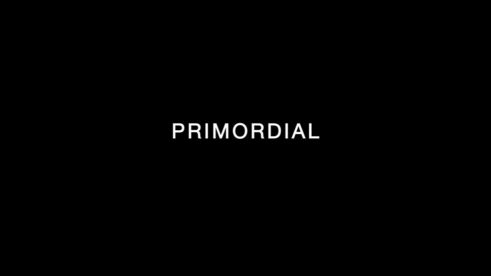 Intra-actions and Reconfigurations Screen 5 - Primordial