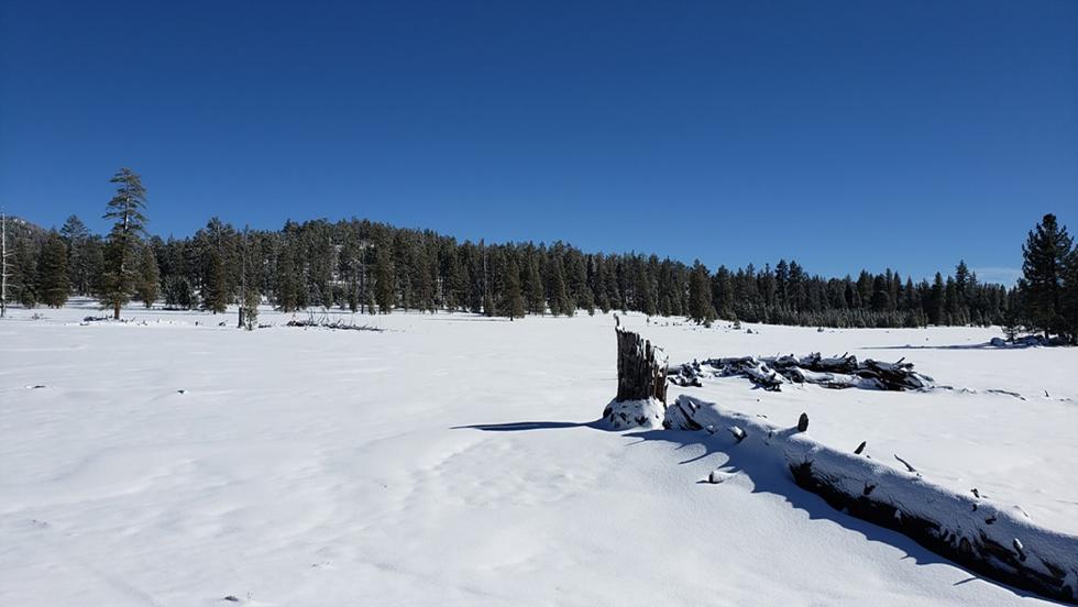 Slideshow image