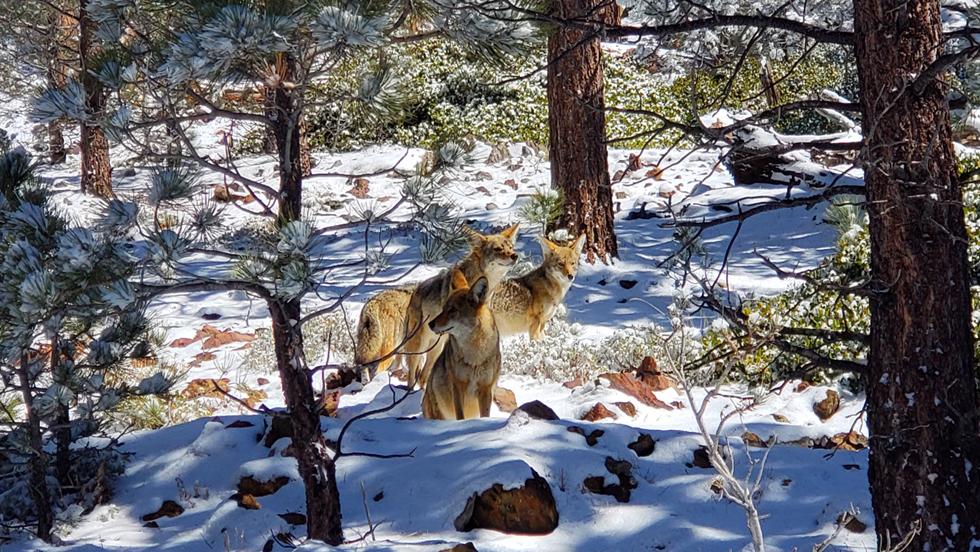 Slideshow image