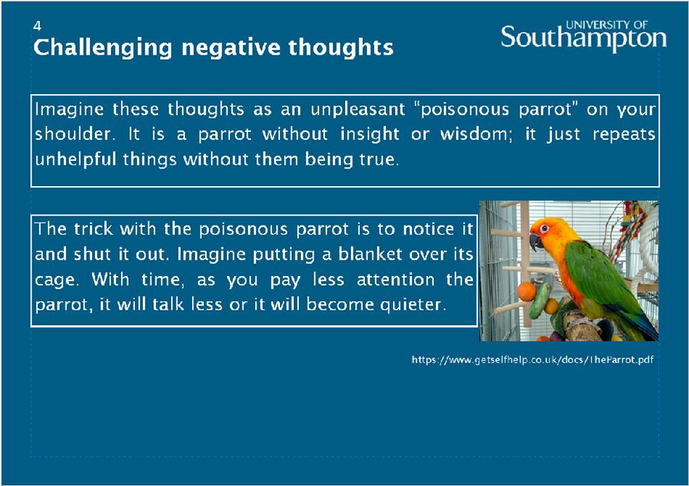 Slide 4