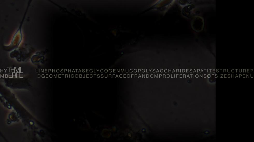 Intra-actions and Reconfigurations Screen 5 - Primordial