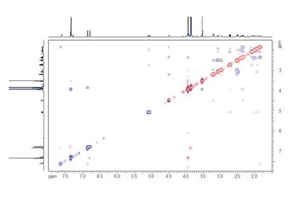 ROESY. The ROESY spectrum shows NOE (through space) interactions. The data should be considered in combination with the HH COSY spectrum to identify the signals caused by scalar coupling.