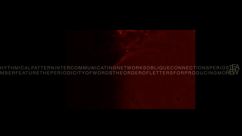 Intra-actions and Reconfigurations Screen 5 - Primordial