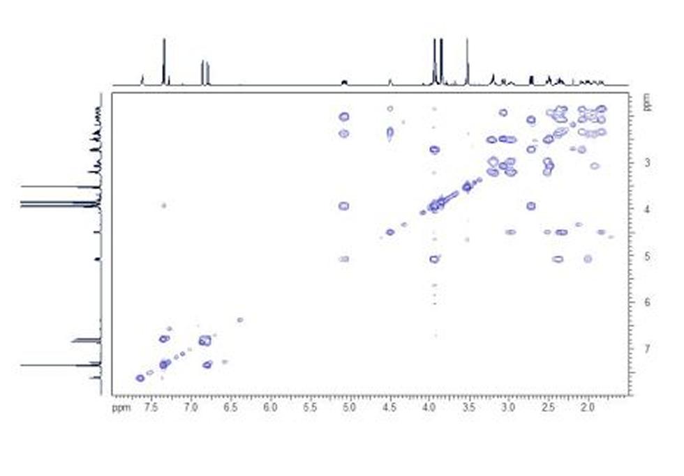 HH COSY. The HH COSY shows the coupling network within the molecule.