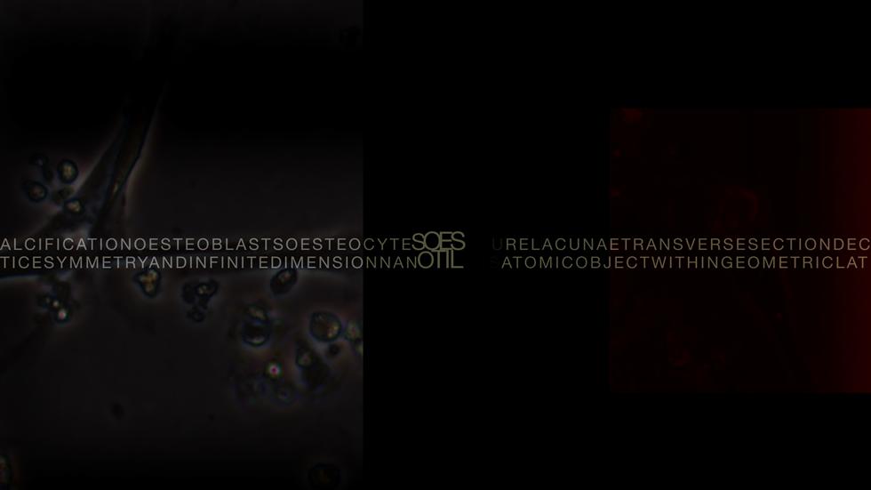 Intra-actions and Reconfigurations Screen 5 - Primordial