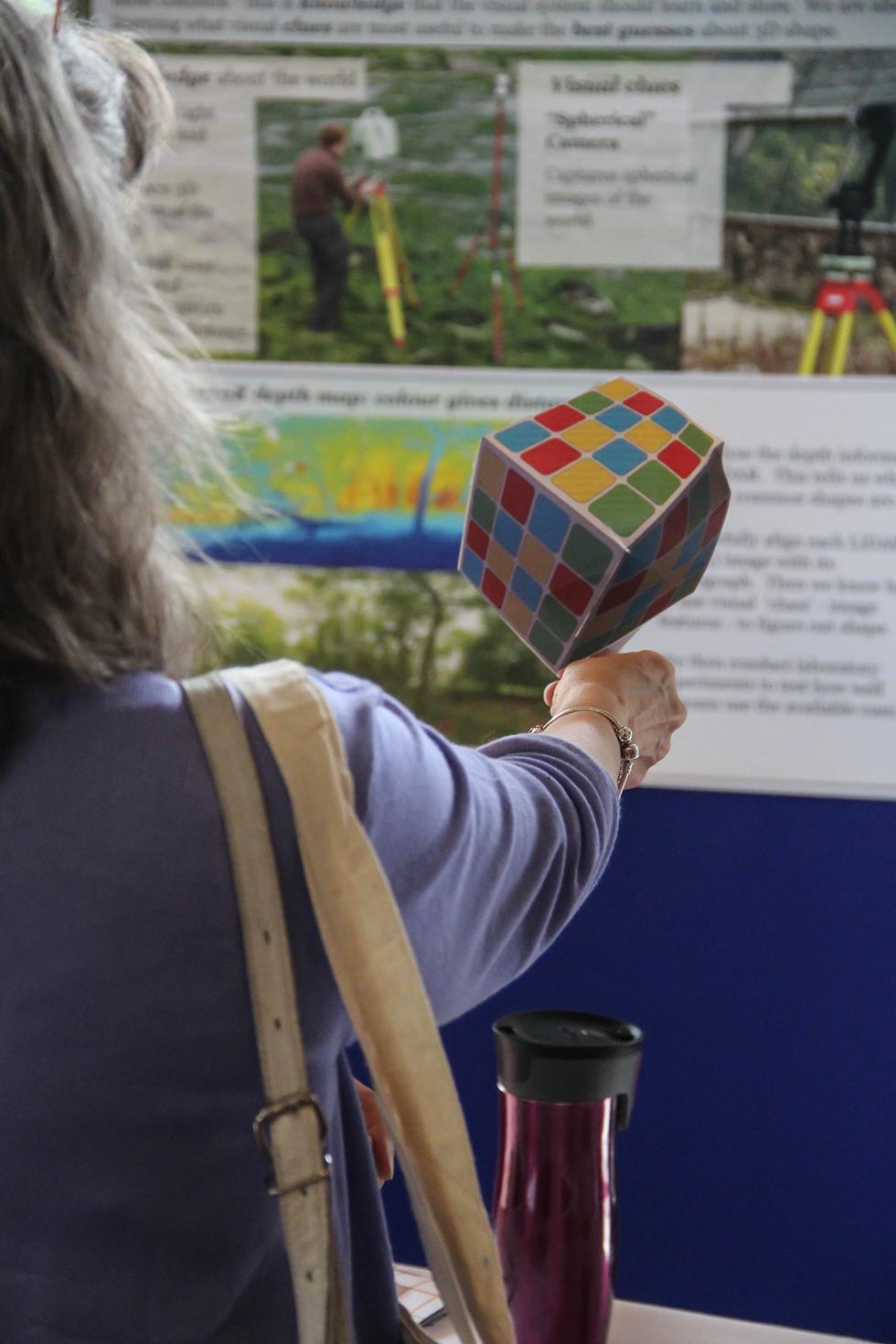 Human visual perception - visual illusions from the centre for Vision and Cognition