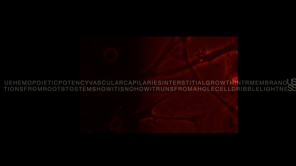 Intra-actions and Reconfigurations Screen 5 - Primordial