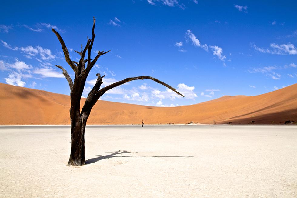 Slideshow image