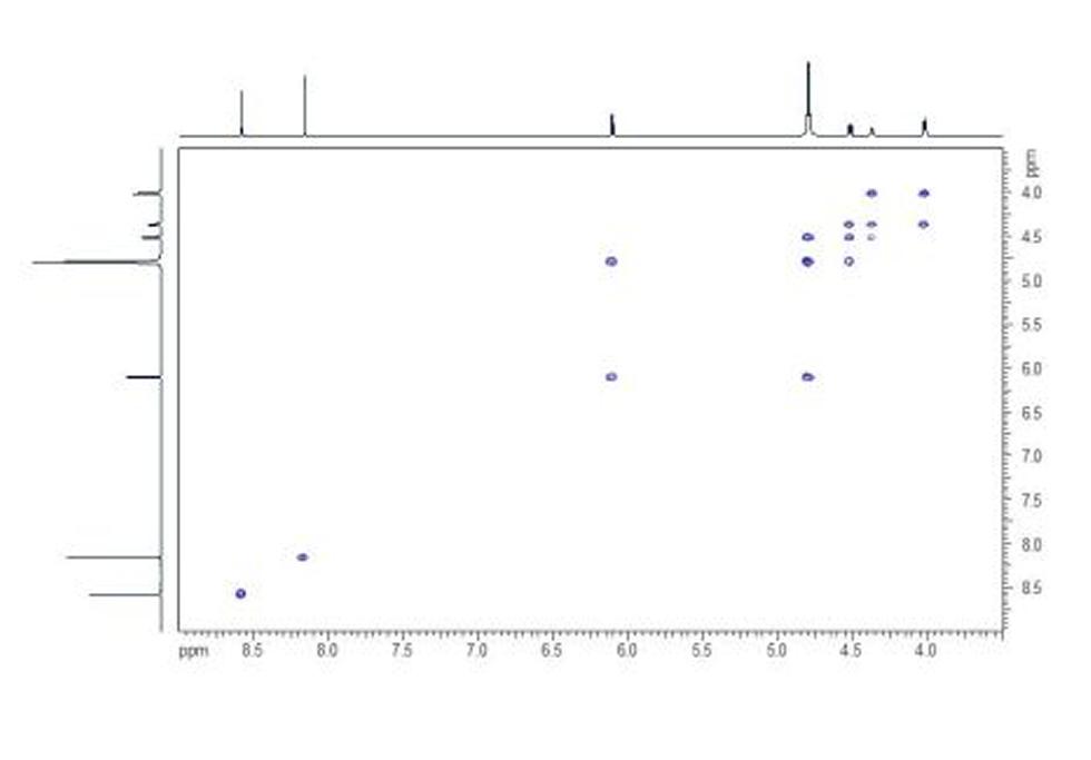 HH COSY. The HH COSY shows the coupling network within the molecule.