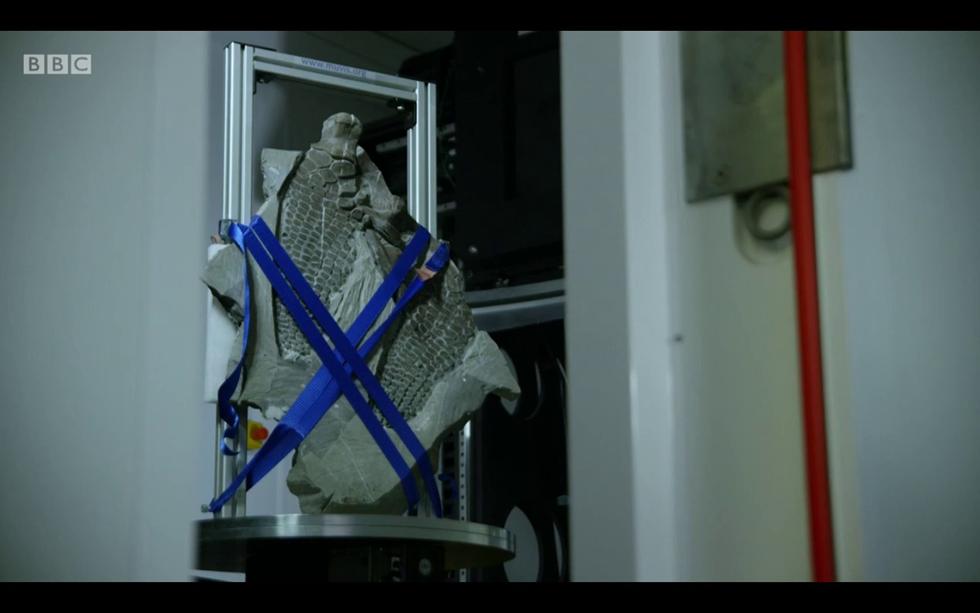 µ-VIS X-Ray Imaging Centre on 'Attenborough and the Sea Dragon'
