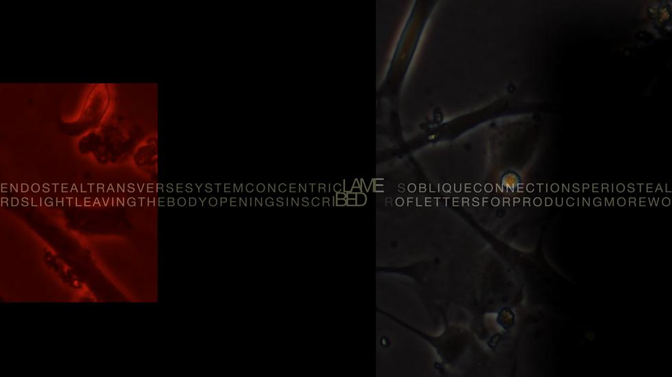 Intra-actions and Reconfigurations Screen 5 - Primordial