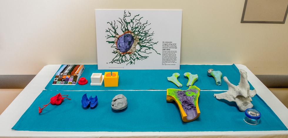 3D imaging for Life Sciences - UHS - Friday 13 April 2018