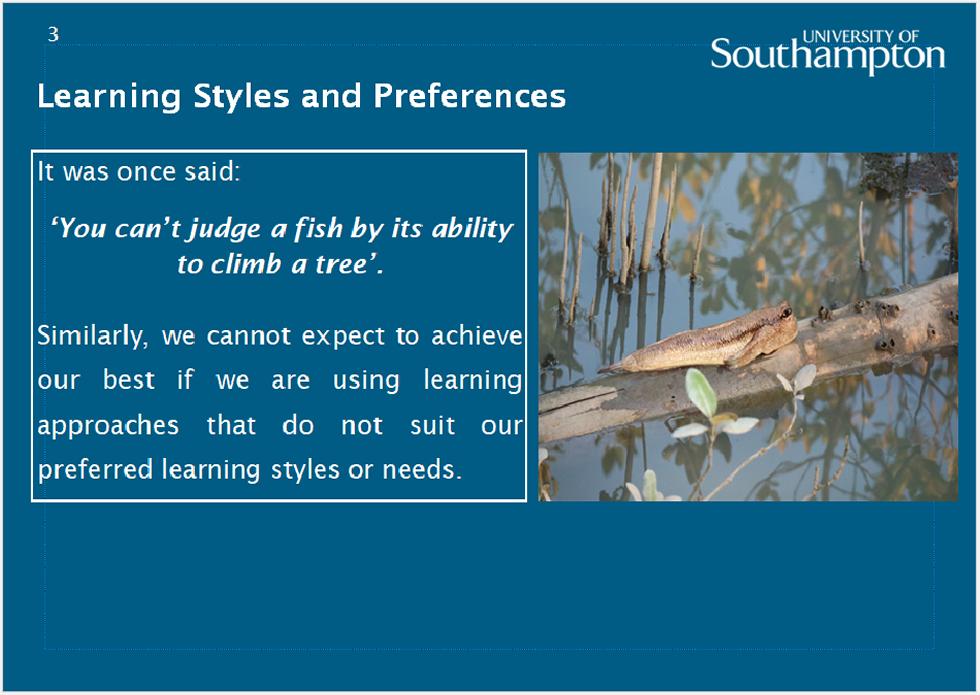 Slide 3