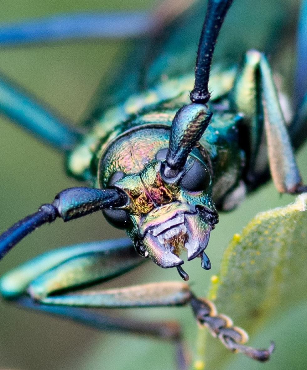 Slideshow image