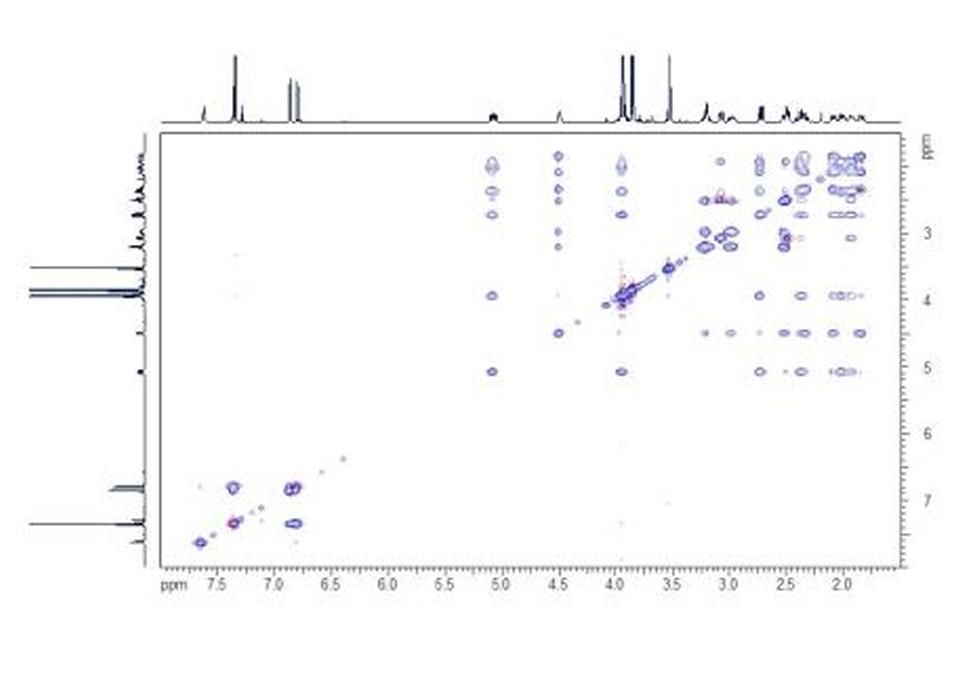 TOCSY. The HH TOCSY spectrum shows correlations that belong together in contiguous spin systems.