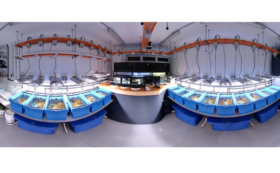 Coral Reef Aquarium at University of Southampton