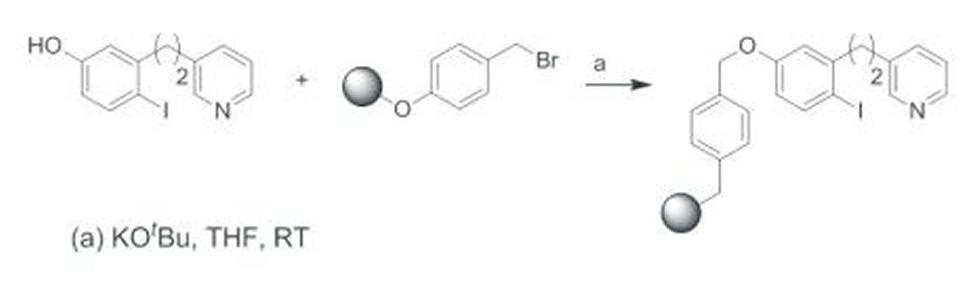 Reaction Scheme. N. J. Wells, PhD Thesis, University of Southampton, 2002.